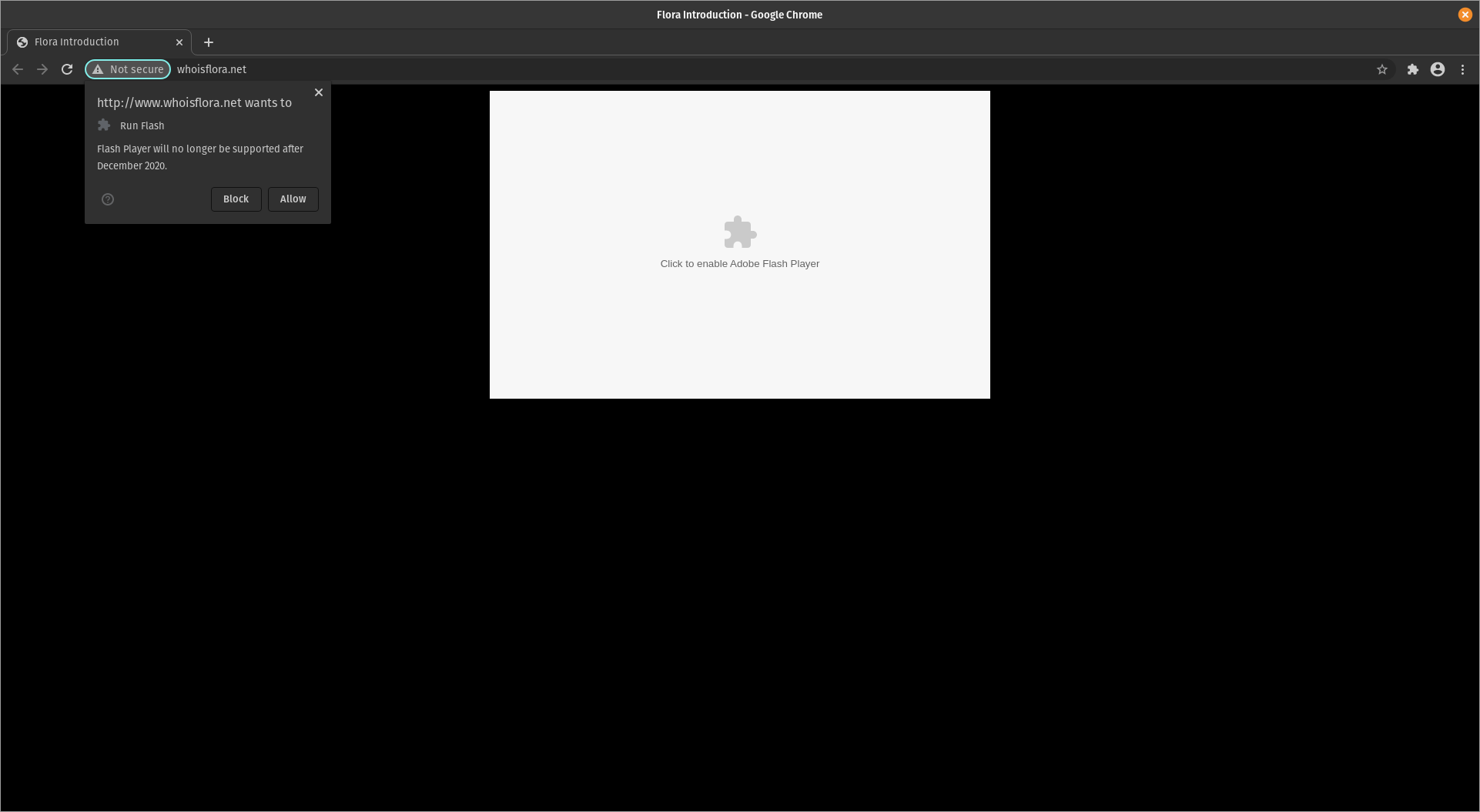 ../resources/ Who is Flora?